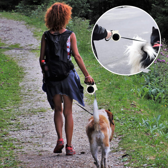 Laisse pour chien - SmartLead