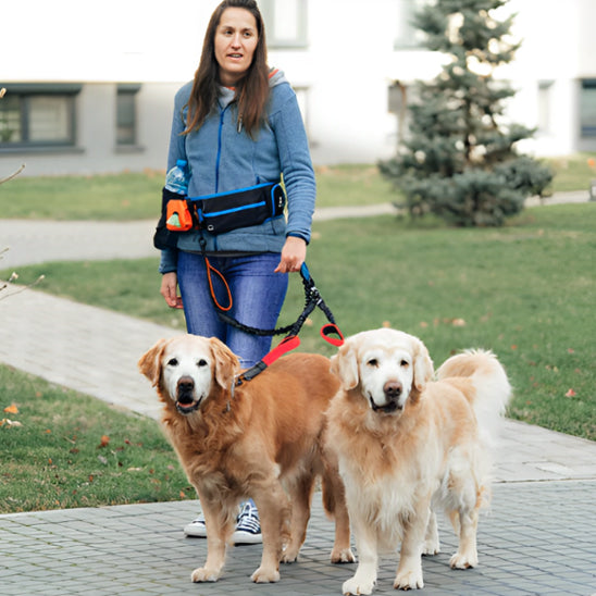Laisse double pour chien - DuoFlex