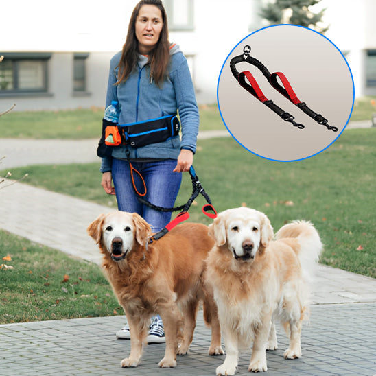 Laisse double pour chien - DuoFlex