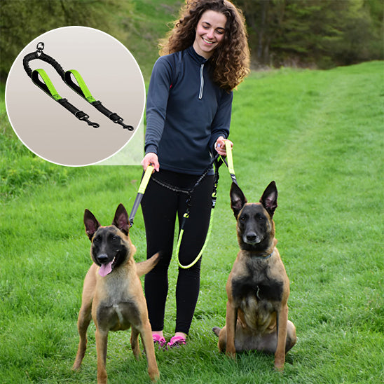 Laisse double pour chien - DuoFlex