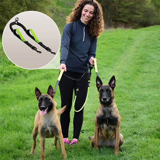 Laisse double pour chien - DuoFlex