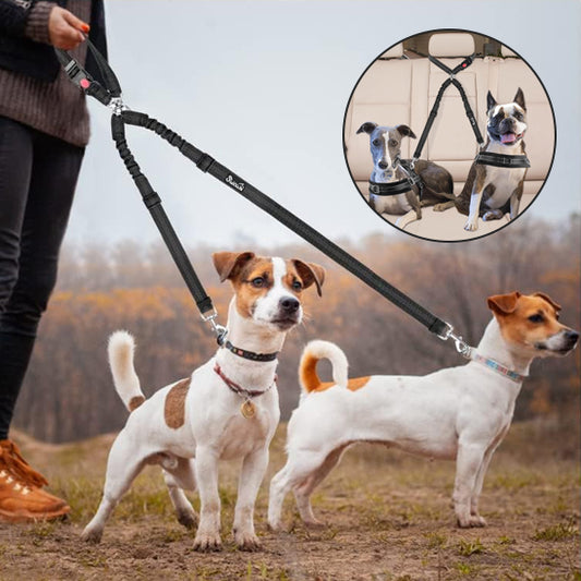 Laisse double pour chien - EasyTrip