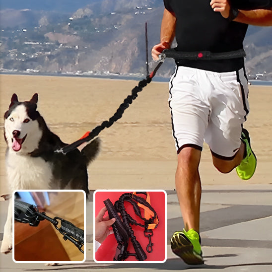 Longe chien FreeMove™ aisance mouvement