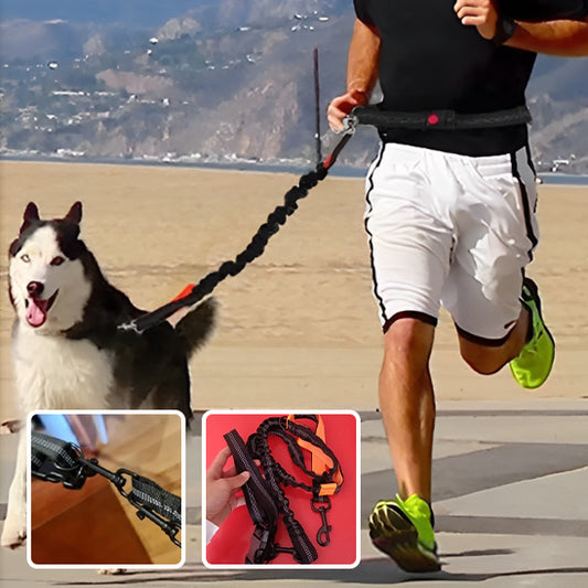 Longe chien FreeMove™ aisance mouvement