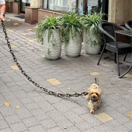Longe chien - IronLook