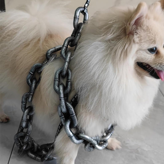 Longe chien - IronLook