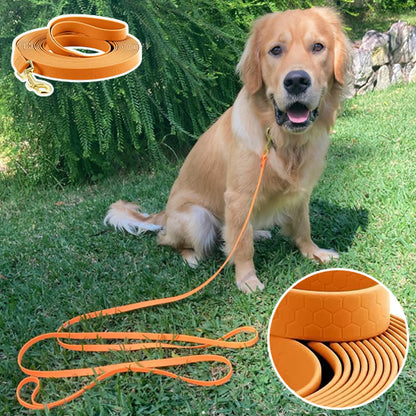 Longe chiens - BrightGrip