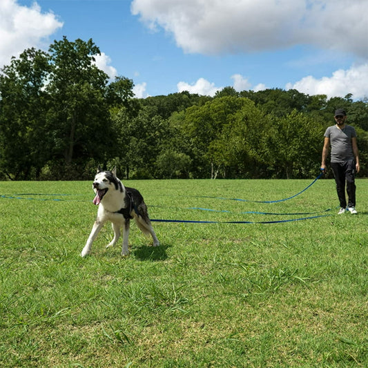 Longe pour chien - AquaSteel