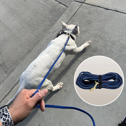 Longe pour chien AquaSteel resistante 