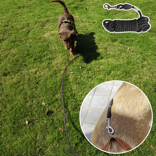 Longe pour chien - ForgeLead