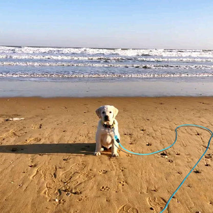 Longe pour chien ForgeLead ultra resistante