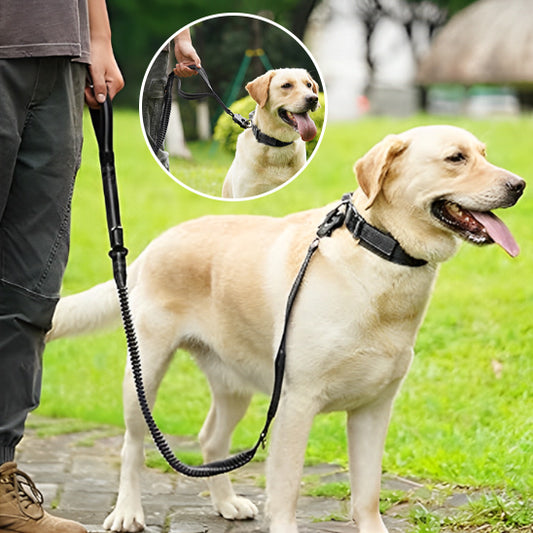 Longe pour chien - TactikGrip