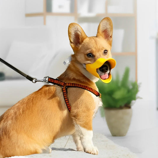Museliere chien Duckie design unique 