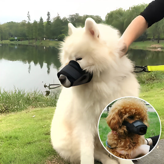 Museliere chien FreeBreath douce