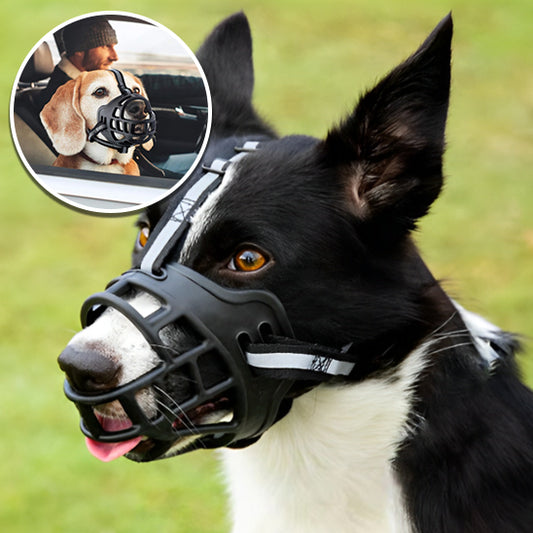 Museliere pour chien ComfortLock innovante