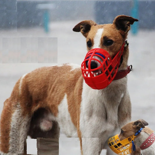 Museliere pour chien SecureBask robuste