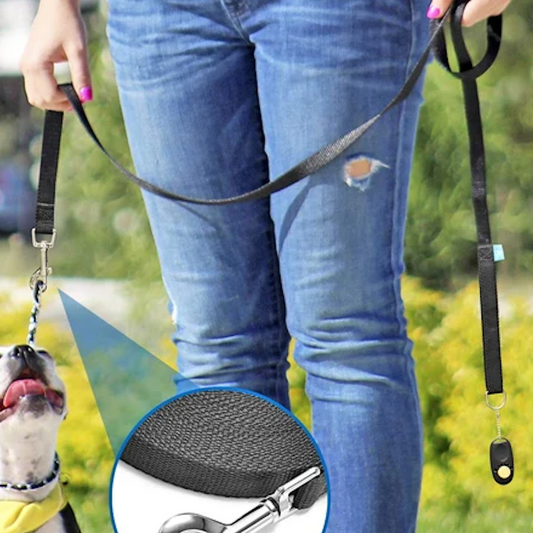 Une laisse de chien - FreedomLeash