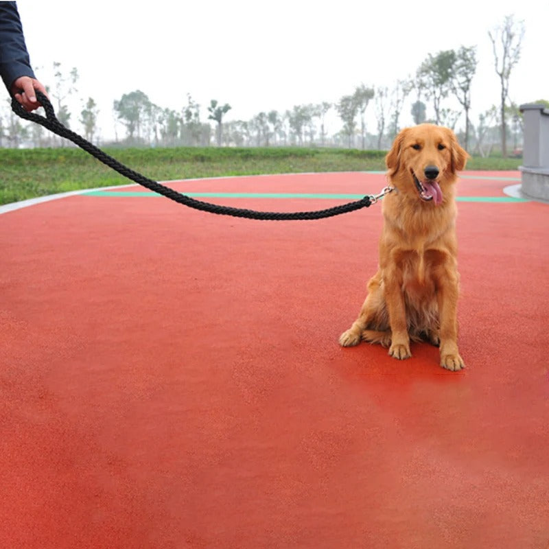 Une laisse pour chien BraidLeash adaptable