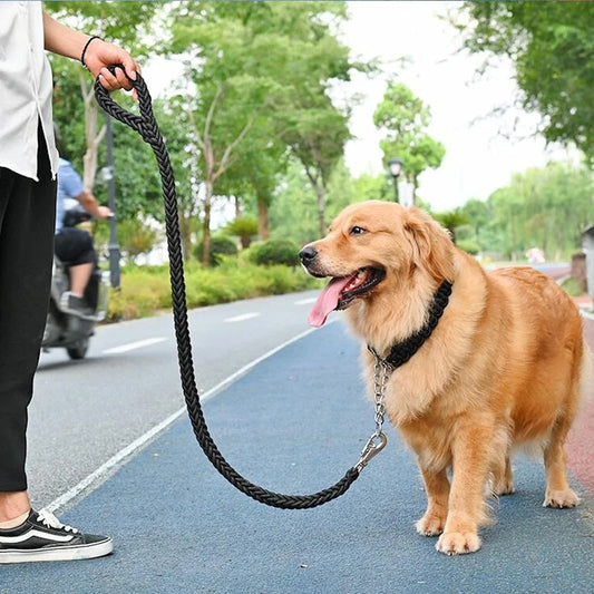 Une laisse pour chien BraidLeash poignee antiderapante