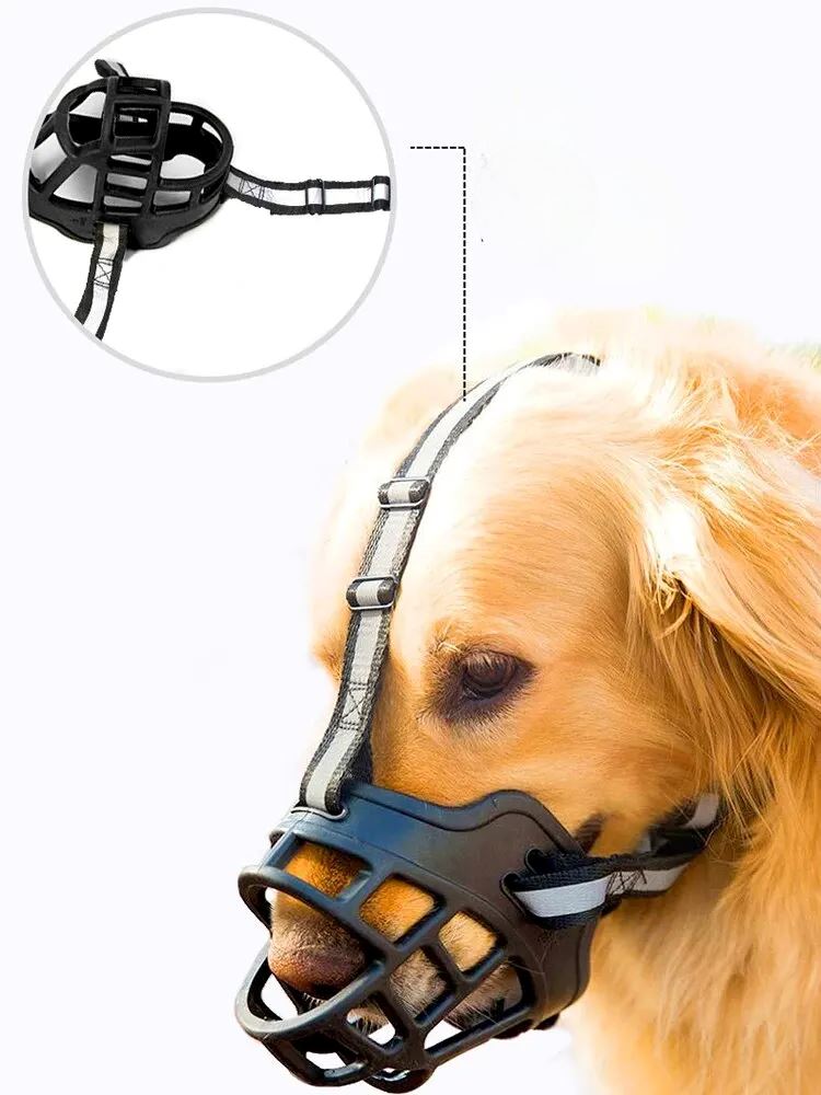 Anti - BarkDog™ - Auracanine