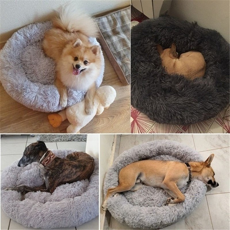 DoggyPouf™ - Coussin doux pour chien - Auracanine