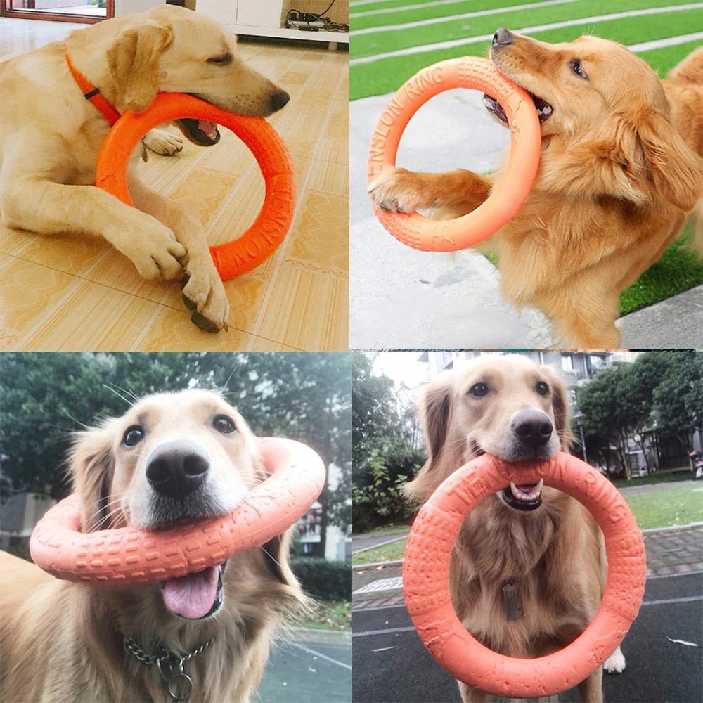 DogTrainingRing™ - Auracanine