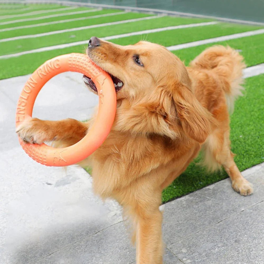 DogTrainingRing™ - Auracanine