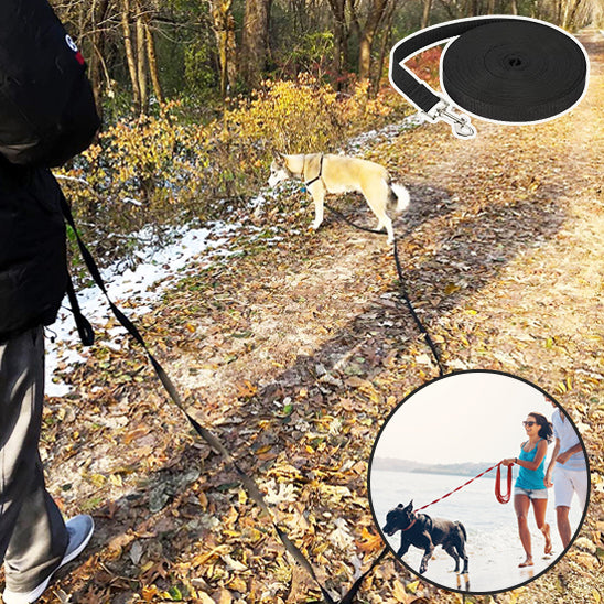 laisse chien FreedomLeash extra longue