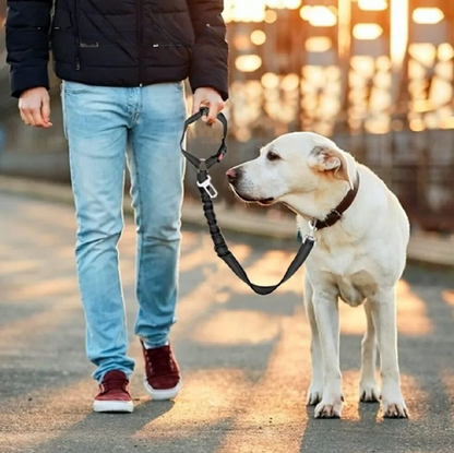 Laisse pour chien - PawCarSecure