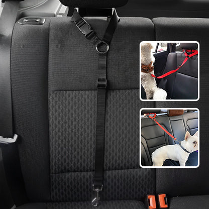 Laisse pour chien - PawCarSecure