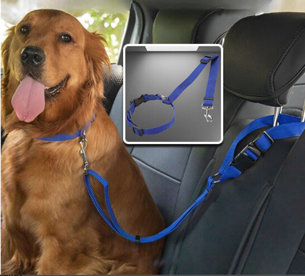 Ceinture de sécurité pour chien - PawCarSecure