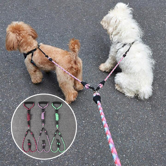 laisse pour chien PawCarSecure resistante
