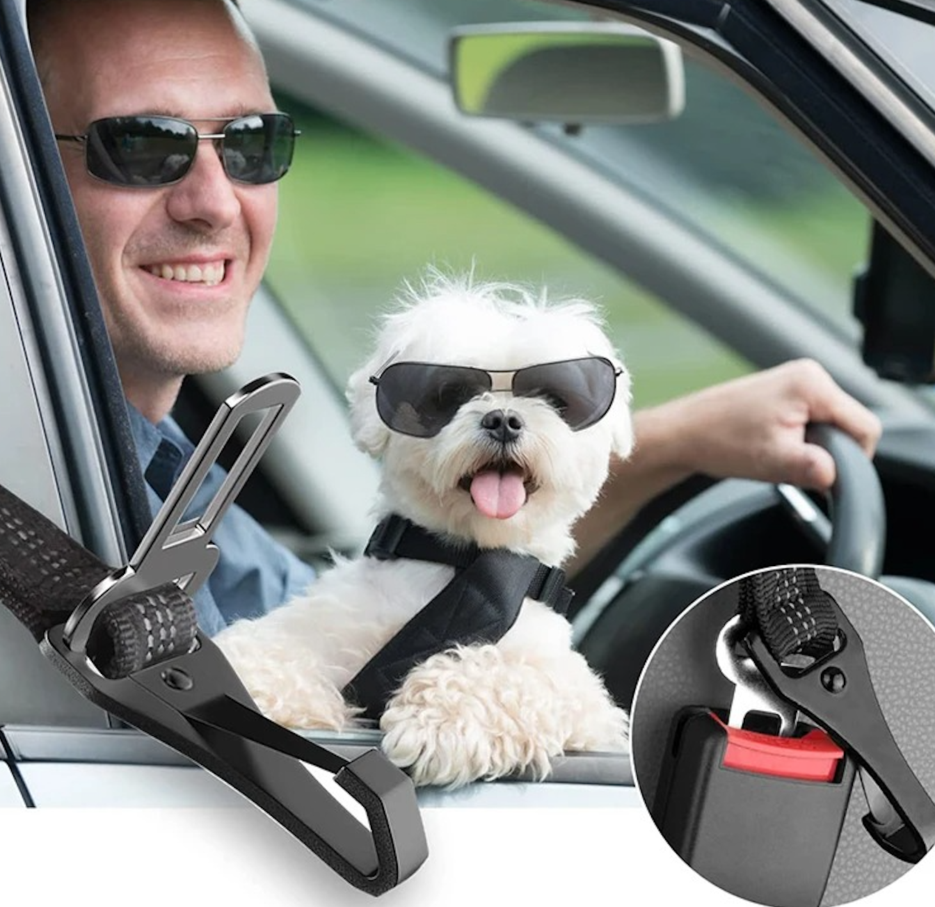 Laisse pour chien - Ceinture DriveLeash™