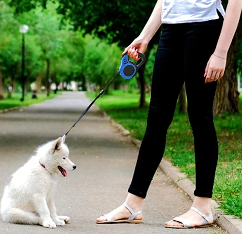 Laisse pour Chien - Rétractable