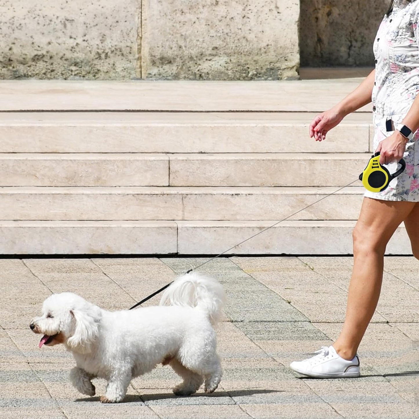 Laisse pour Chien - Rétractable