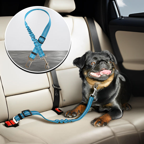 Laisse pour chien - Ceinture DriveLeash™