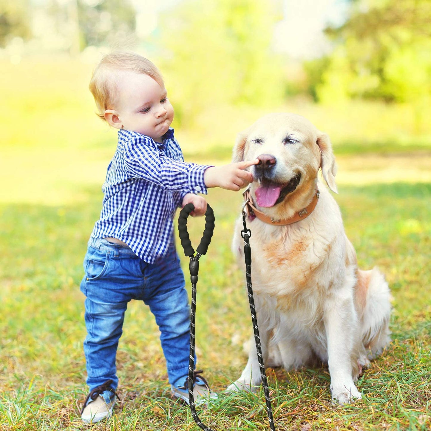 LaisseEduc™ - Corde en Nylon pour chien | Chien - Auracanine