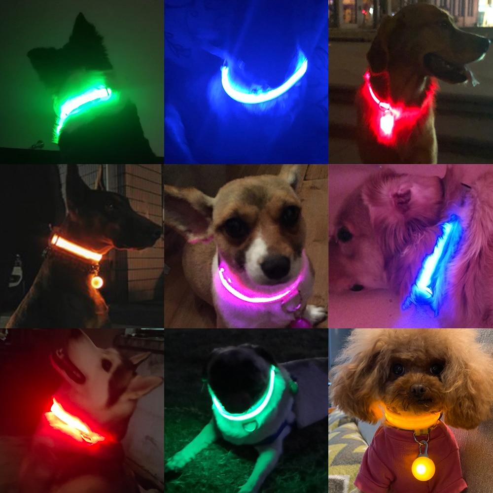 LedCollar™ - Collier à LED rechargeable pour chien - Auracanine