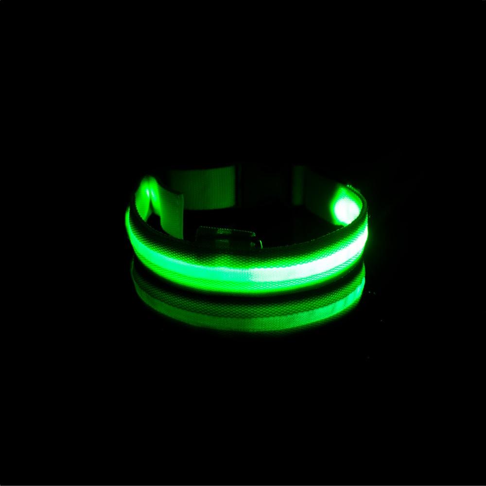 LedCollar™ - Collier à LED rechargeable pour chien - Auracanine