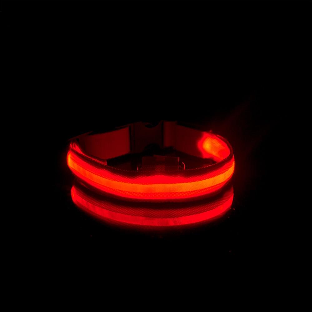 LedCollar™ - Collier à LED rechargeable pour chien - Auracanine