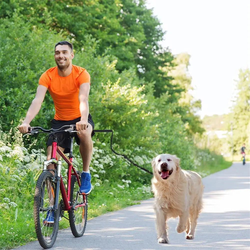 Laisse pour chien - Mains libres