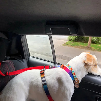 Laisse pour chien - PawCarSecure