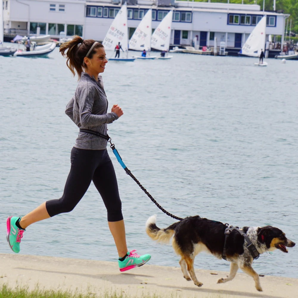 Laisse pour chien - Mains libres