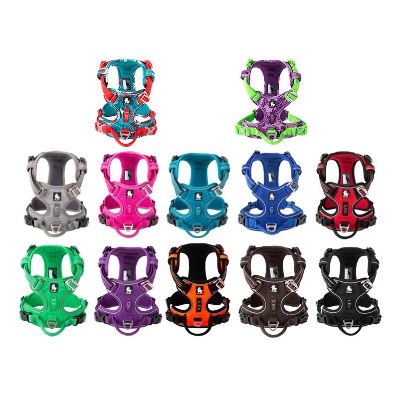 SafetyHarness™ - Harnais pour animal de compagnie - Auracanine