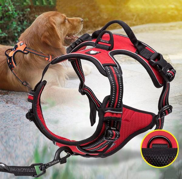 SafetyHarness™ - Harnais pour animal de compagnie - Auracanine