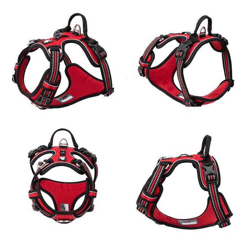 SafetyHarness™ - Harnais pour animal de compagnie - Auracanine