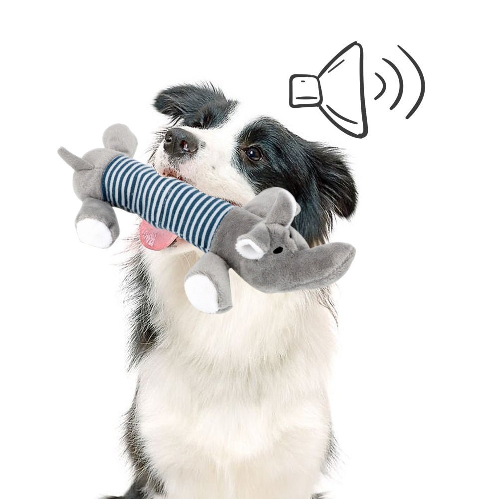 SoundToys™ - Jouet peluche pour chiens - Auracanine