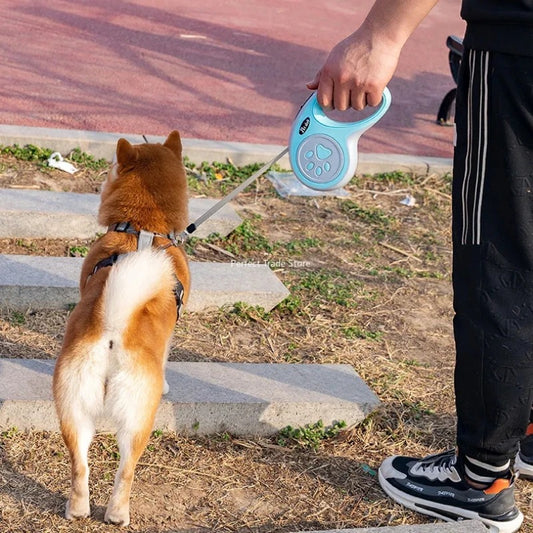 Une laisse de chien - pour chiot